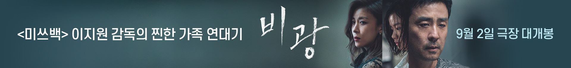 비광 
