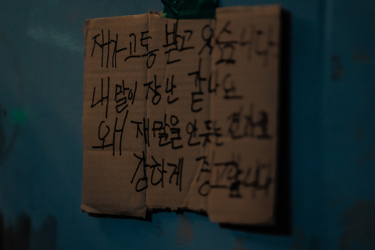 노이즈