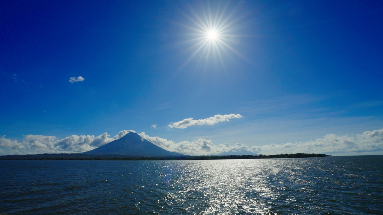 나무의 노래